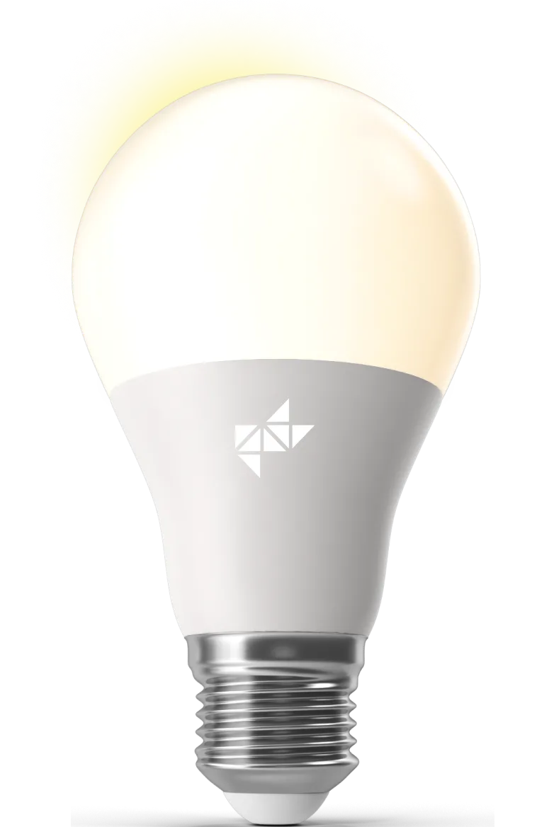 light bulb