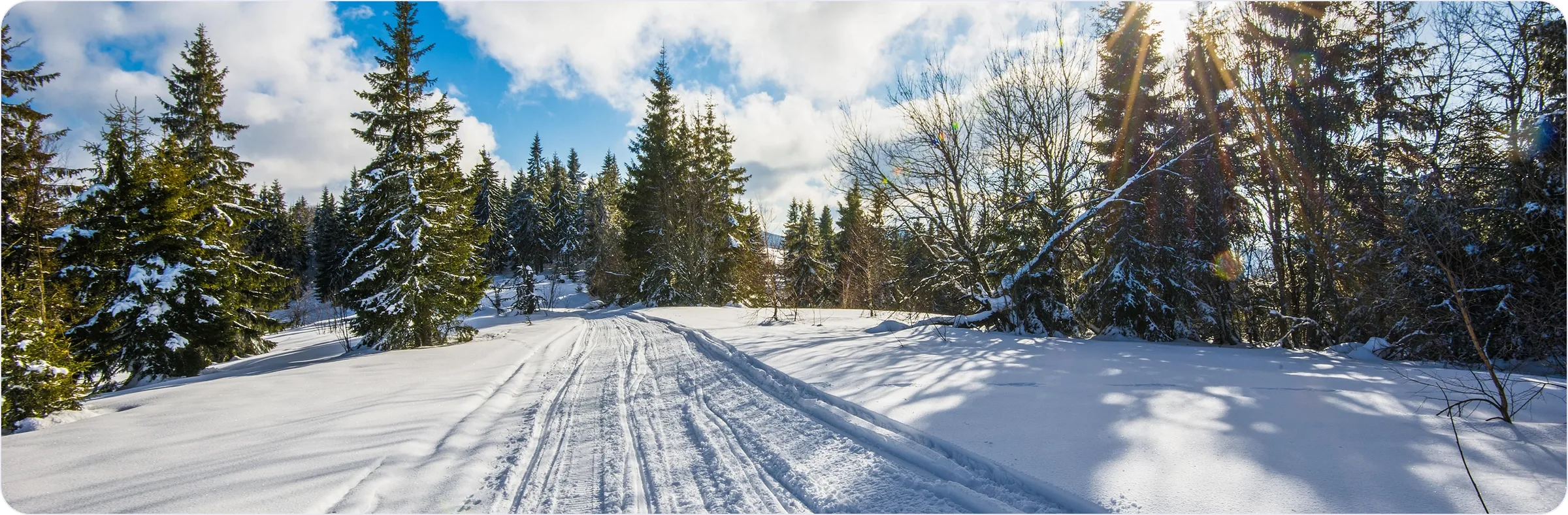 Sentier de quad enneigé en forêt